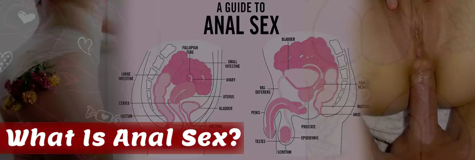 What Is Anal Sex